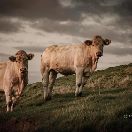 Gjeterhytta * Στάβανγκερ