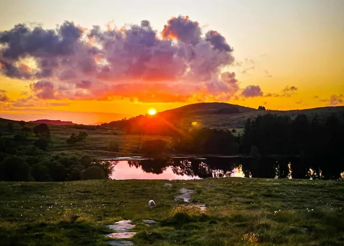 Gjeterhytta Kemping *